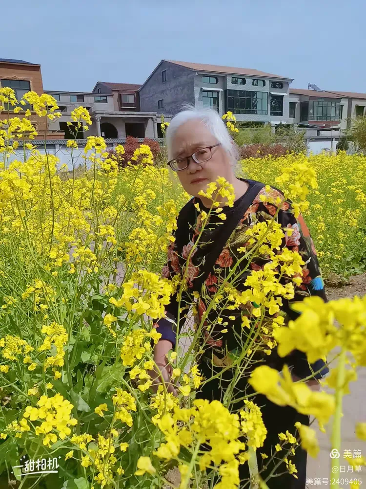 4.8原阳玲珑塔(目前世界上最古老的斜塔)